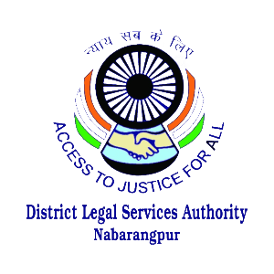 org logo for DLSA