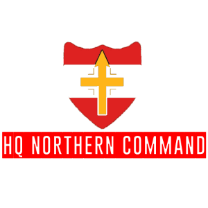 org logo for HQ Northern Command
