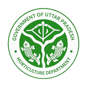 org logo for UPSAD